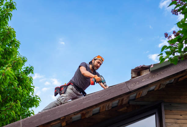 Best Asphalt Shingle Roofing  in Lincoln, MT